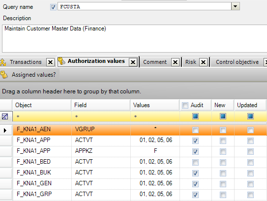pre defined critical authorization query CSI Authorization Auditor part2