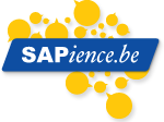 logo sapience2012